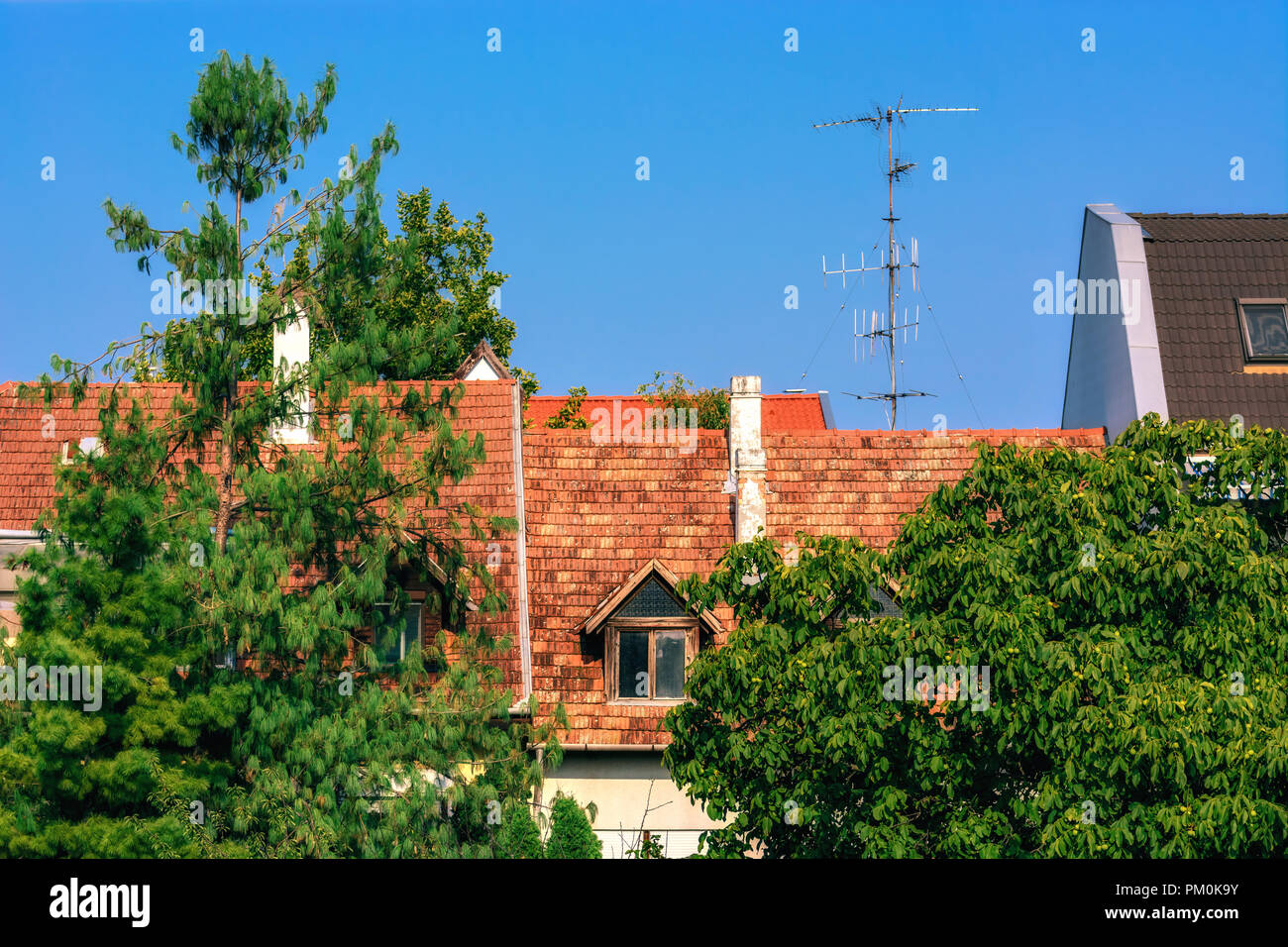 View of the roof of red tiles with a TV antenna, against the blue sky through the green foliage of trees. Stock Photo