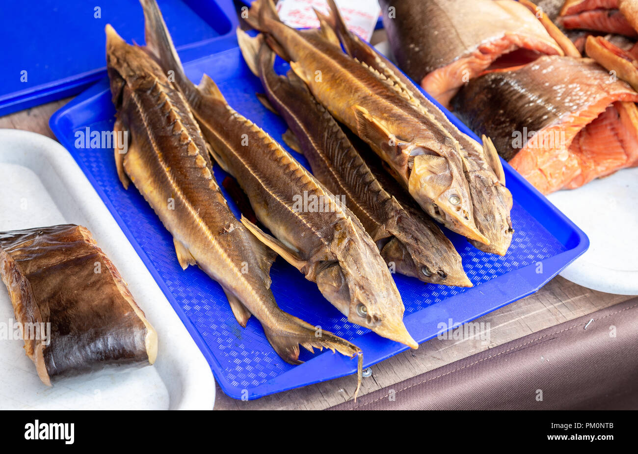 Smoked fish sterlet ready to sale at the local farmers market Stock