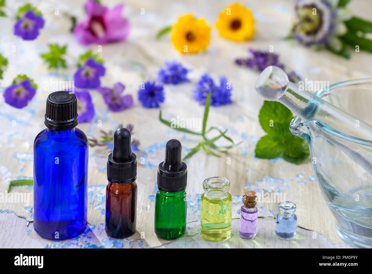 Herbal therapy. essential oils and medical flowers and herbs on old blue cracked wooden background copy space Stock Photo