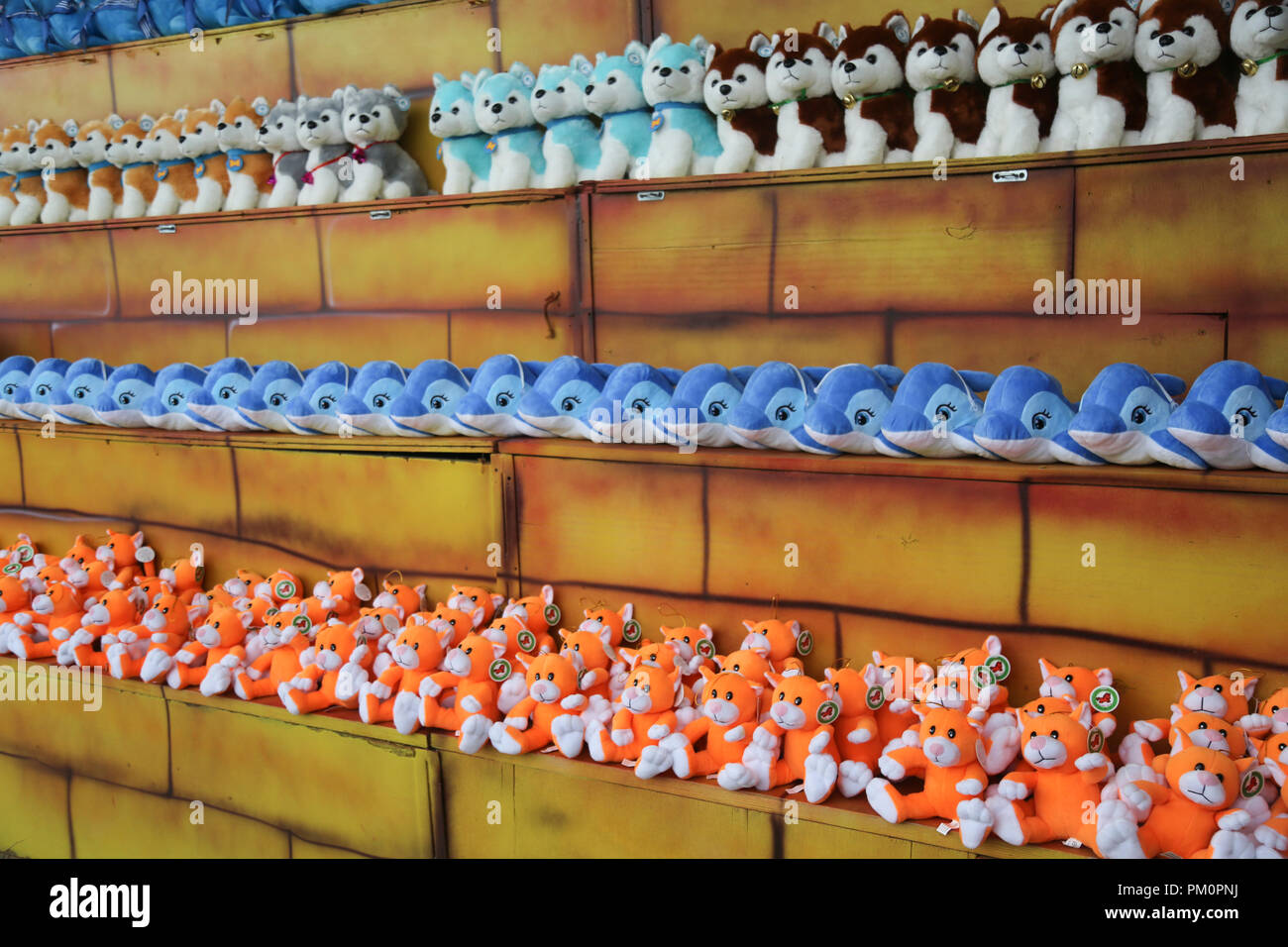 Soft toys for children on the counter of the store Stock Photo