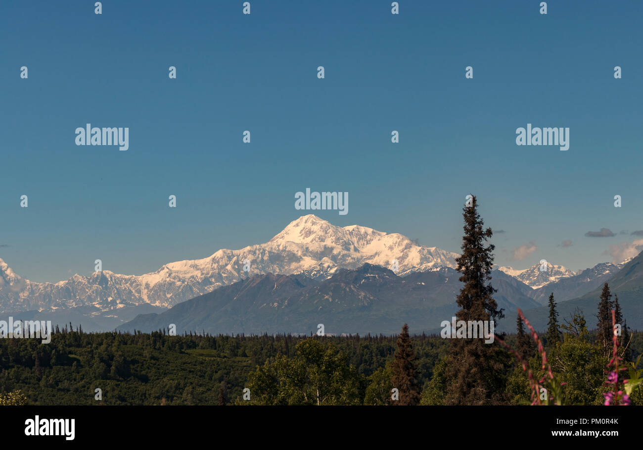 View of Denali (formerly Mount McKinley), &quot;The High One&quot; in Athabascan, against a blue sky in summertime. Tallest mountain in North America, Stock Photo