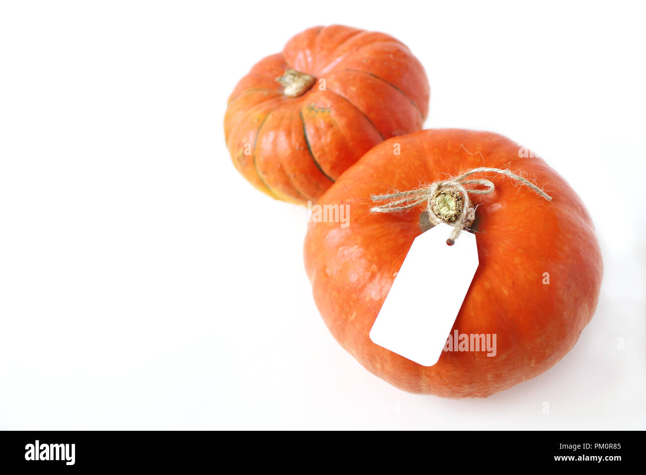 Autumn composition. Orange Hokkaido pumpkins with blank gift, price tags on white table background. Fall, Halloween and Thanksgiving design. Business concept. Styled stock Stock Photo