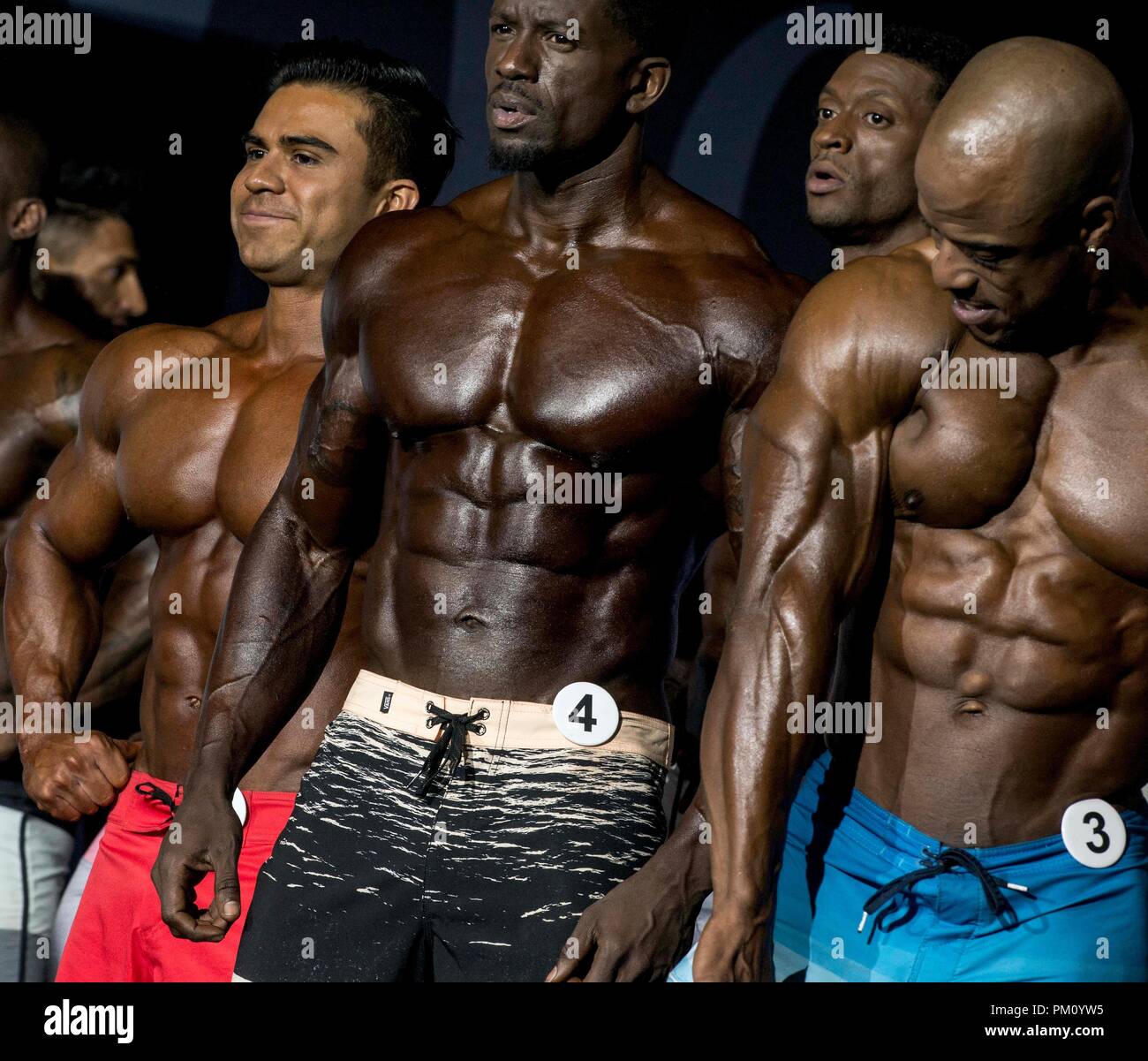 Erhebe dich Bakterien Aushalten las vegas bodybuilding 2019 Mühe