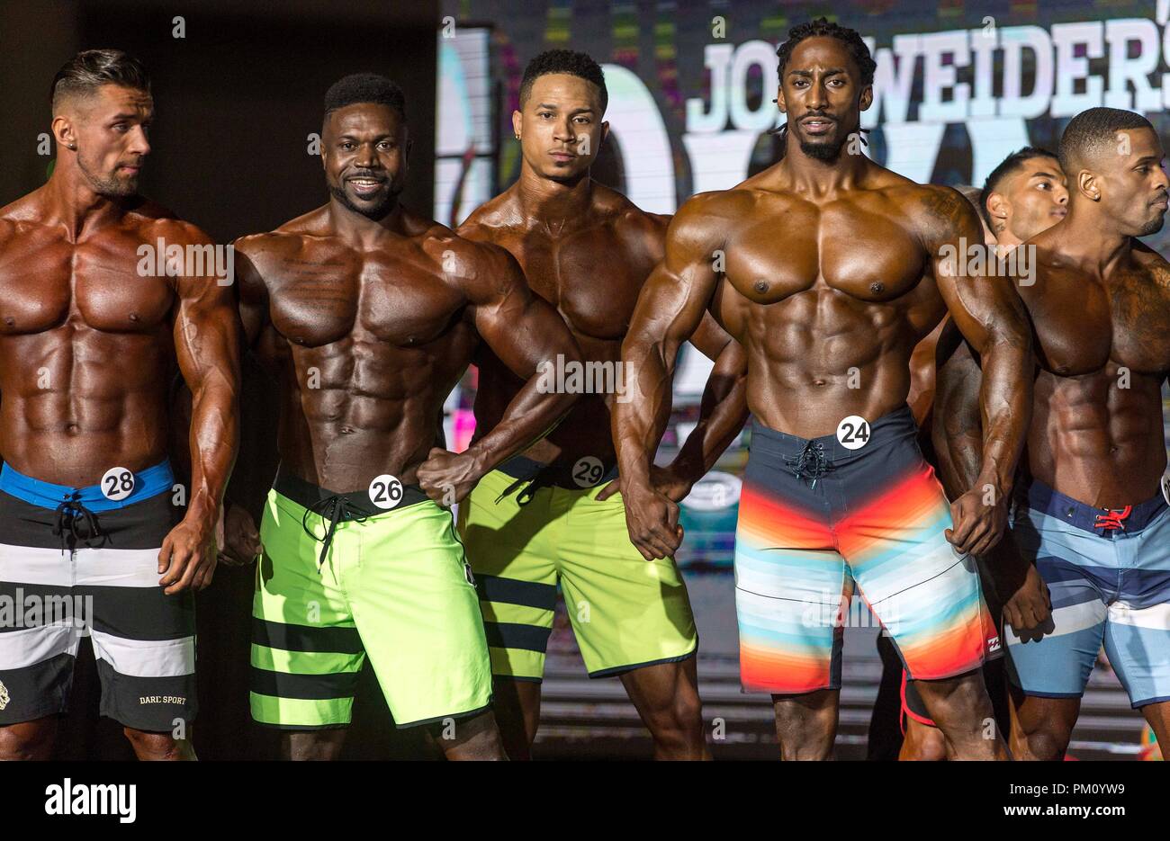 Las Vegas, Nevada, USA. 15th Sep, 2018. Competitors in Men's Physique
