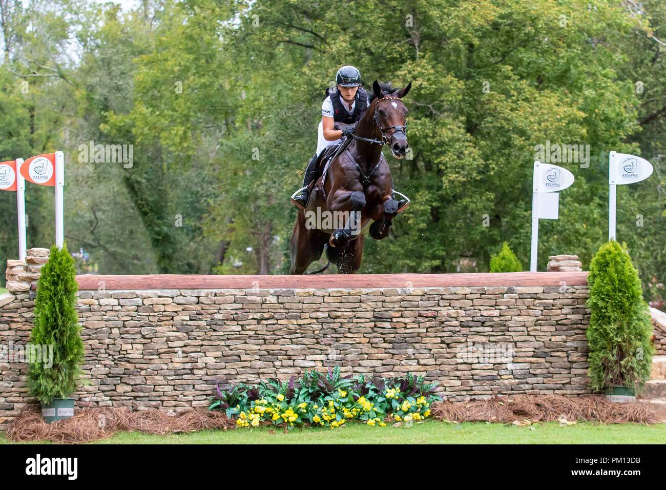 2018 julia krajewski chipmunkfrh hires stock photography and images