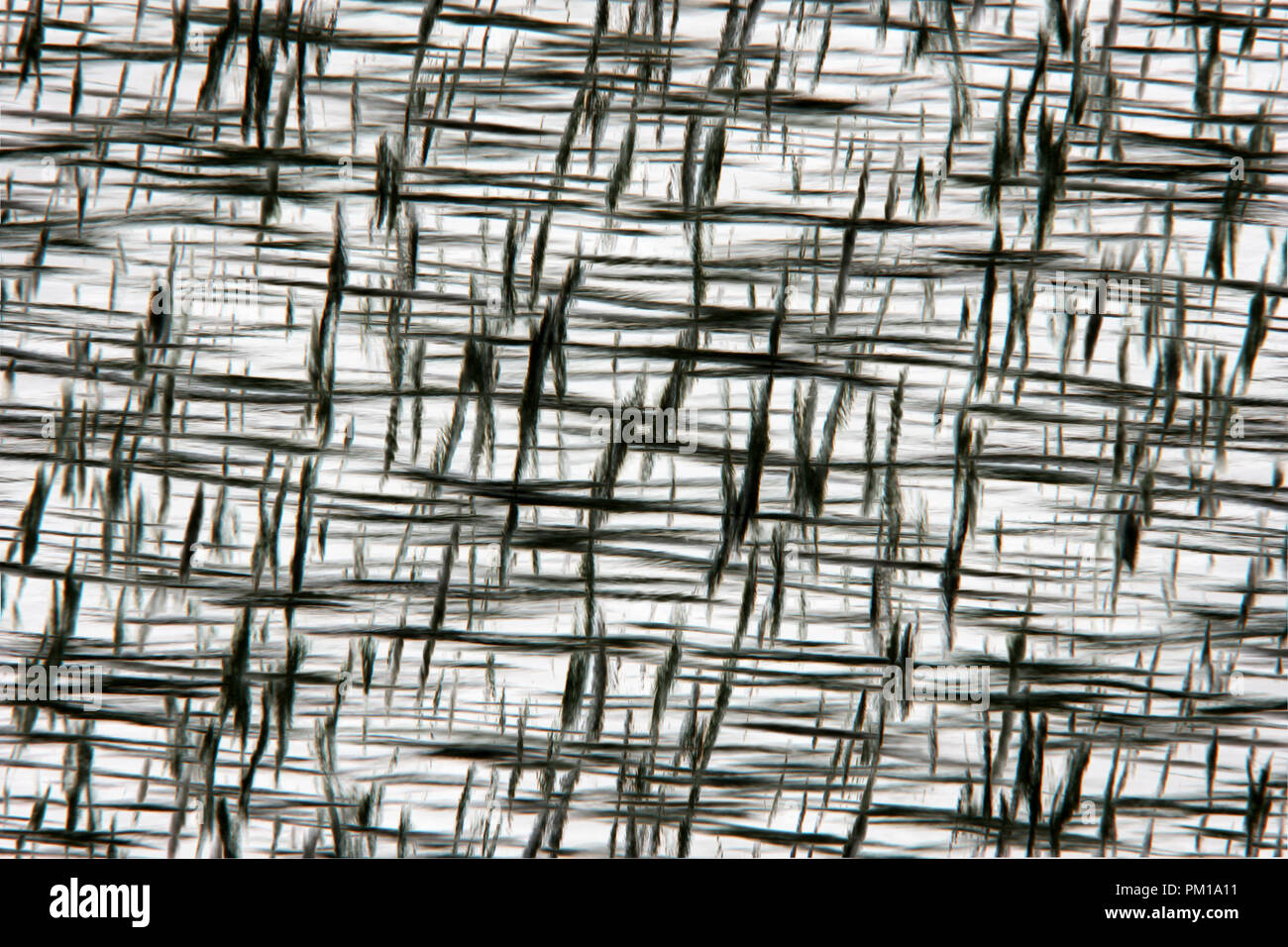 Seamless pattern black and white abstract pattern Stock Photo - Alamy