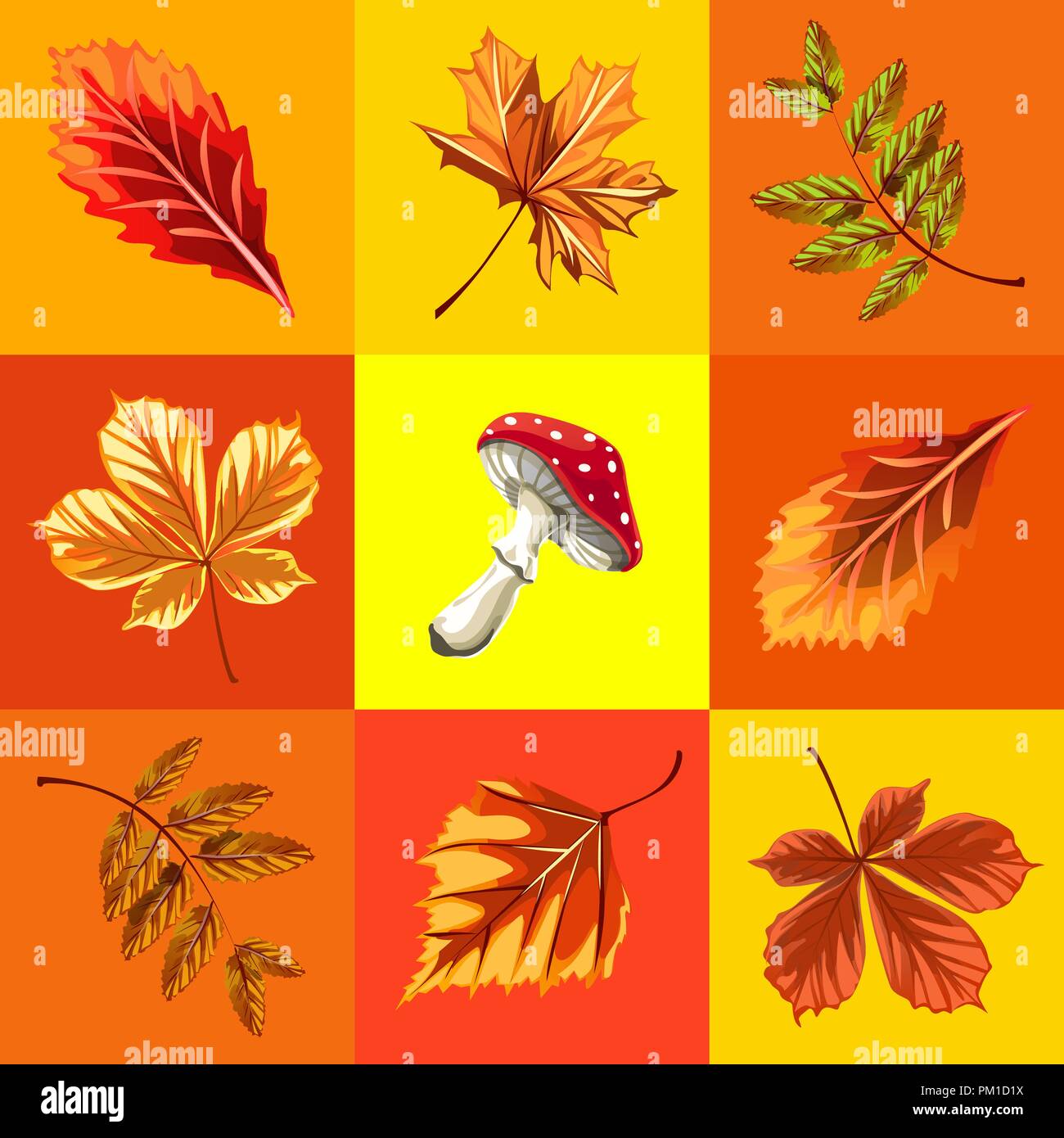 Cute poster or greeting card with modern design on theme of golden autumn. Ornate set of fallen autumn tree leaves of maple, rowan, birch, chestnut and mushroom fly agaric. Vector cartoon close-up. Stock Vector