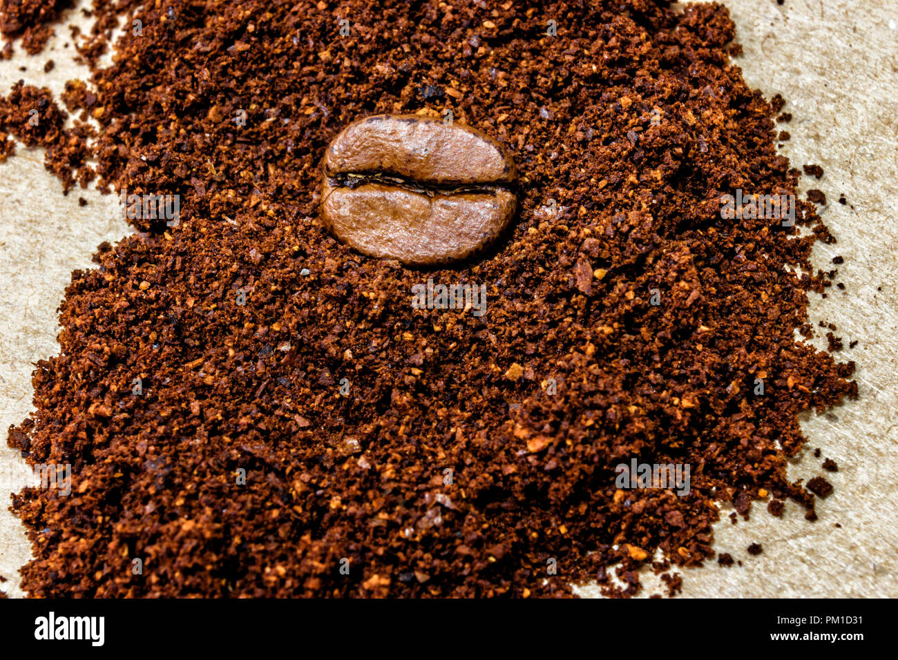 Close Up On Roasted Coffee Beans Roasted And Ground Coffee Stock Photo Alamy