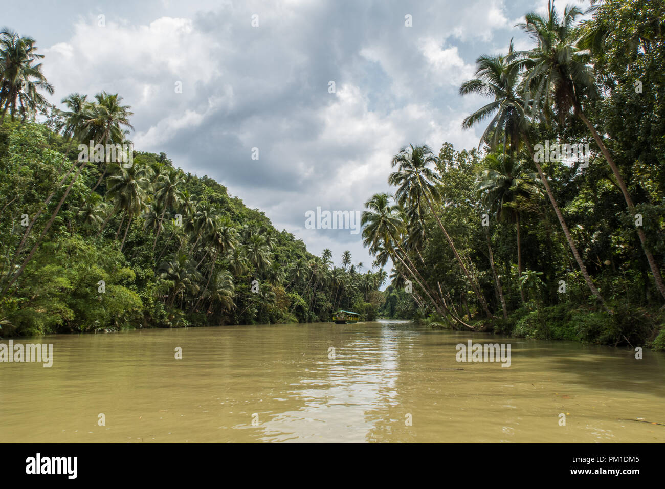 A Floating Restaraunt boat floats down the river Loboc. Taken during a
