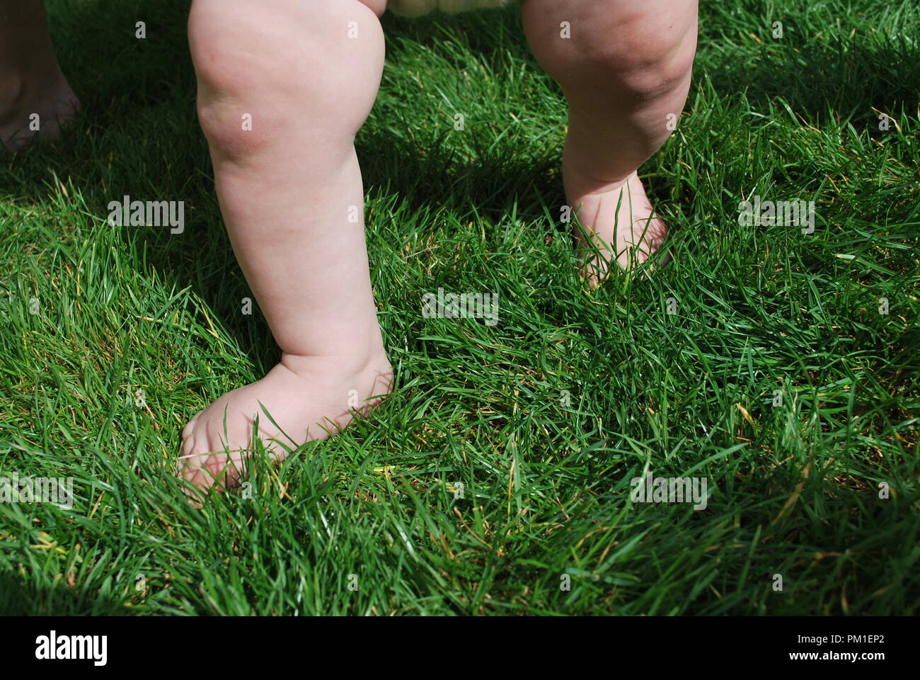 baby feet and legs on grass walking first steps Stock Photo