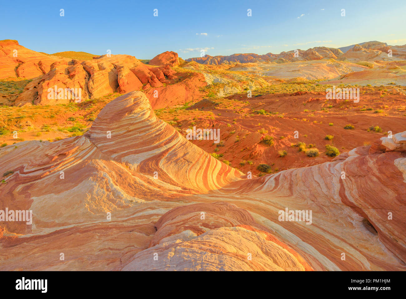 The striped landscape of popular Fire Wave Hike at Valley of Fire State ...