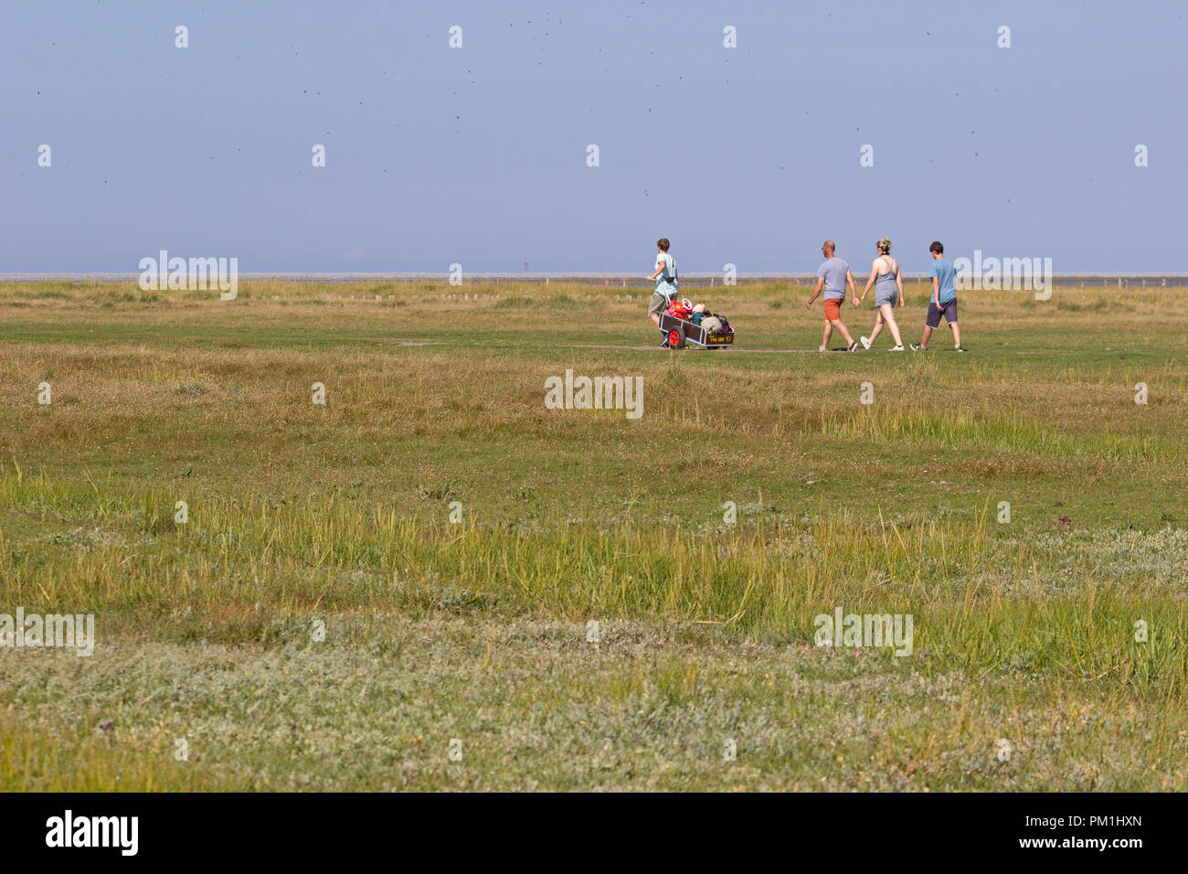 on the way to the beach near Westerhever, Schleswig-Holstein, Germany Stock Photo