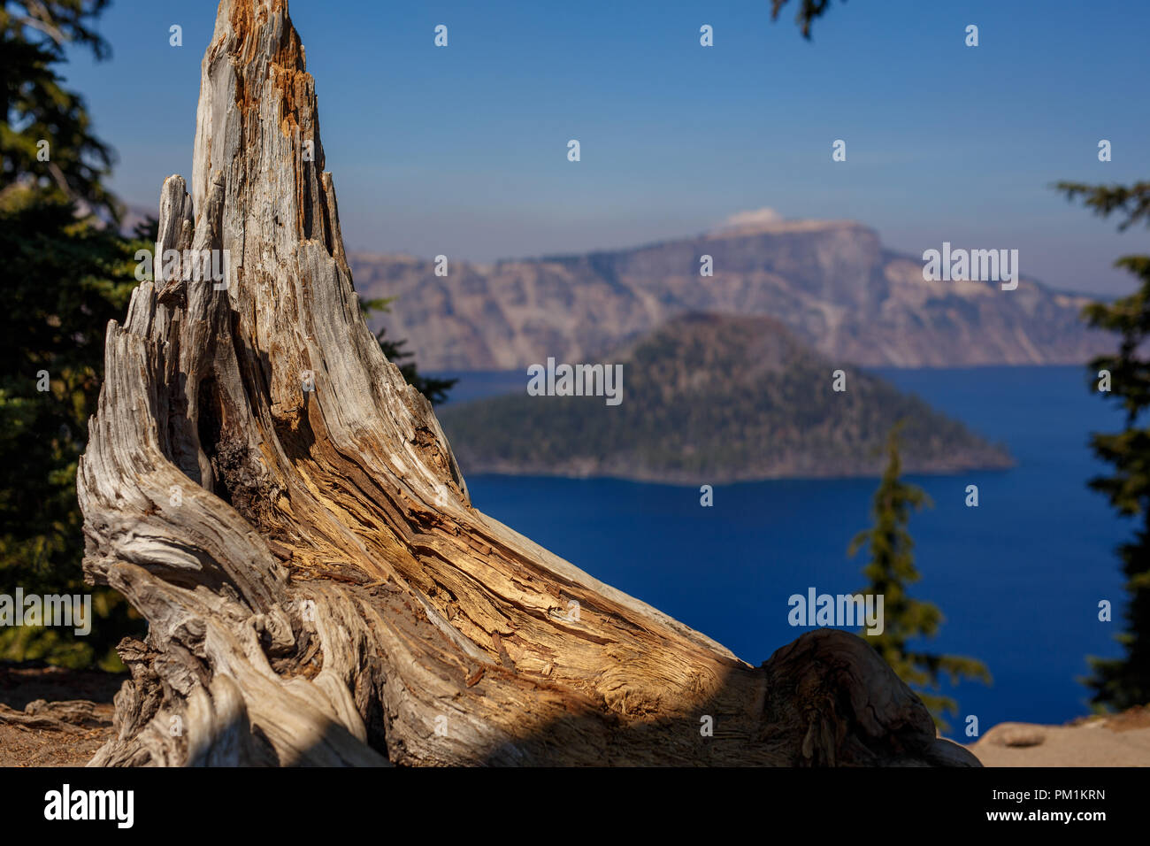 Log at Crater Lake National Park Stock Photo - Alamy