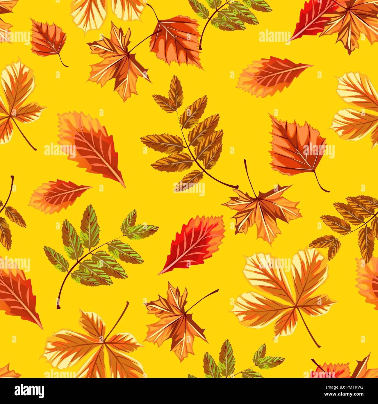 Texture of autumn tree leaves isolated on yellow background. Sketch for