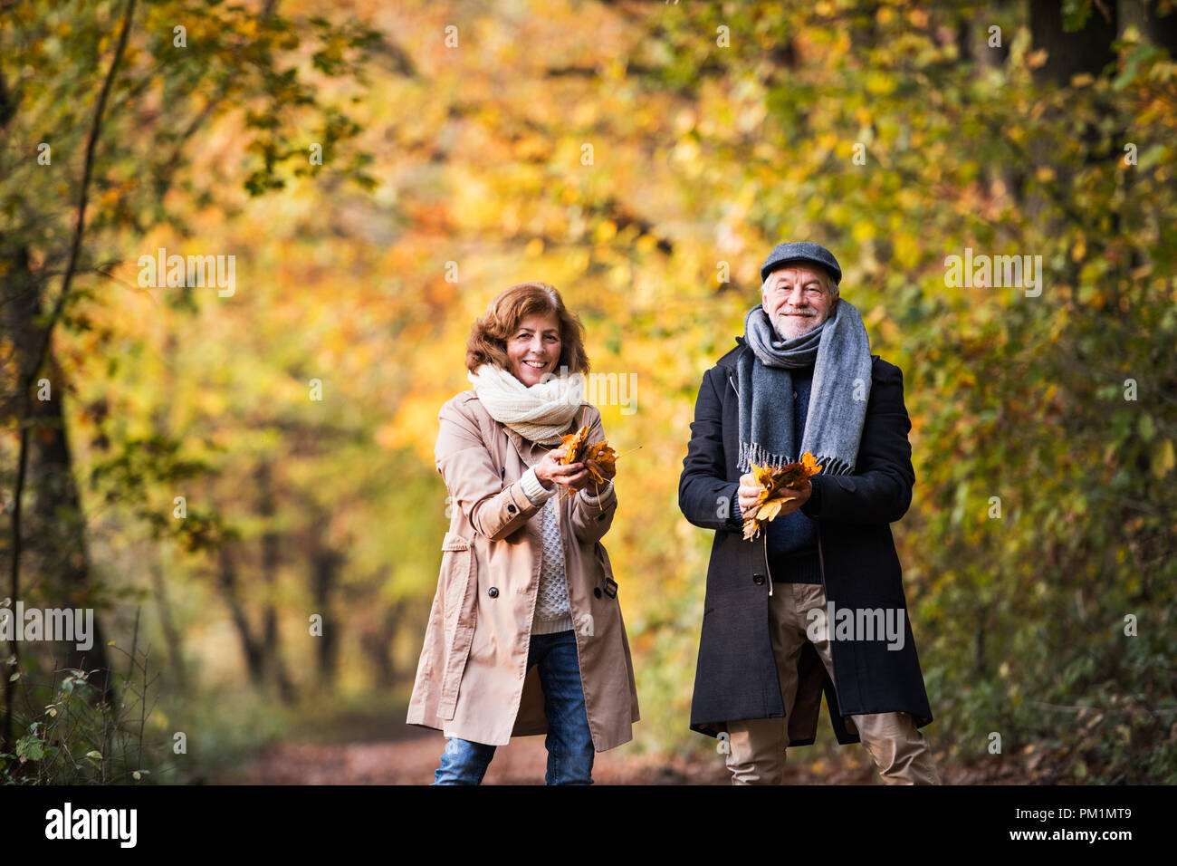 Senior couple on a walk in a forest in an autumn nature, holding leaves ...