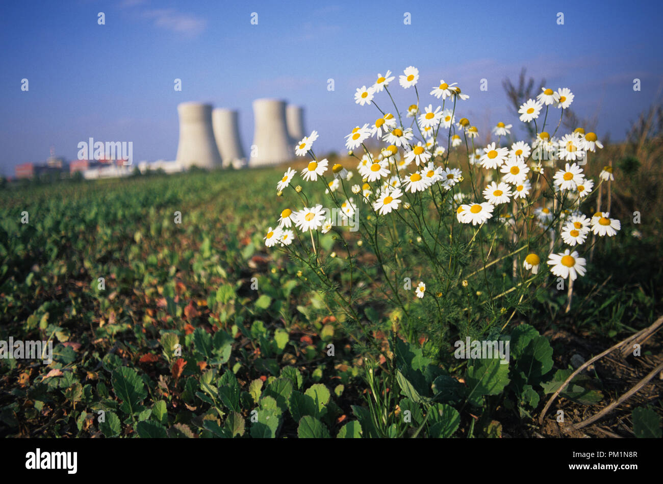 Temelin nuclear power station in the Czech Republic Stock Photo - Alamy