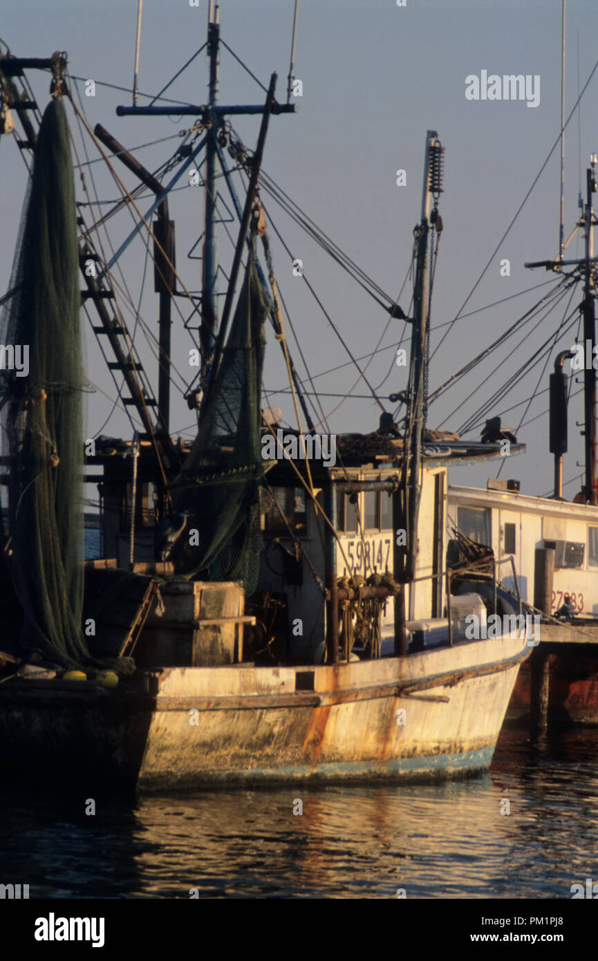 Working shrimp boat on the Gulf Coast of the United States catching fresh wild shrimp and