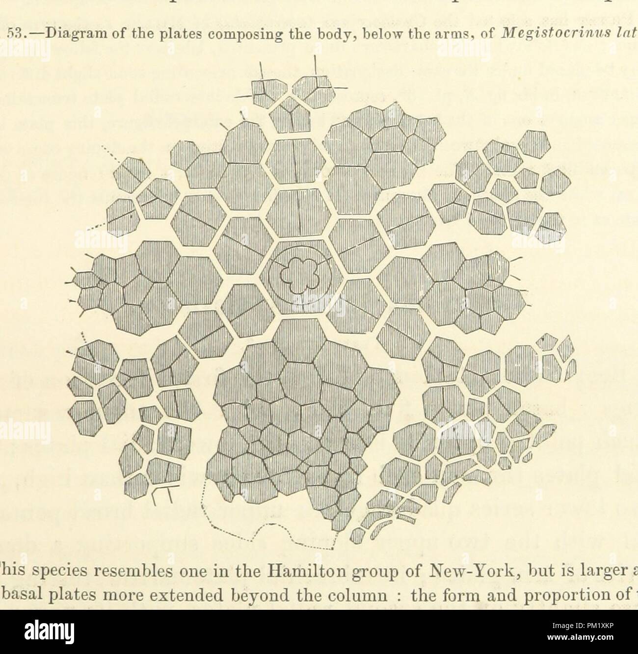 Image from page 21 of 'Report on the Geological Survey of Iowa. By J ...