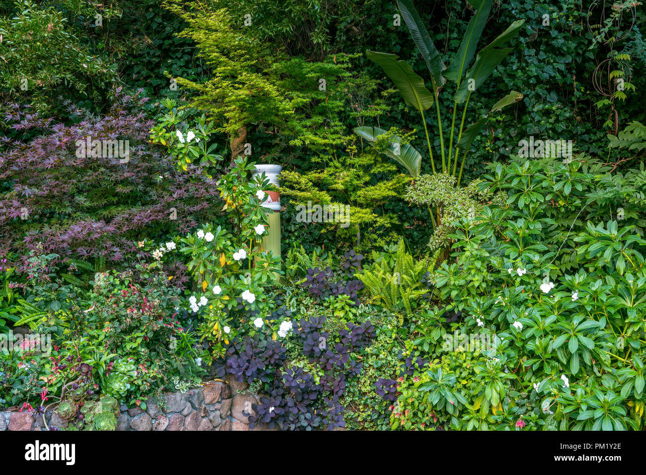Rock Garden, Cypress Garden, Mill Valley, California Stock Photo