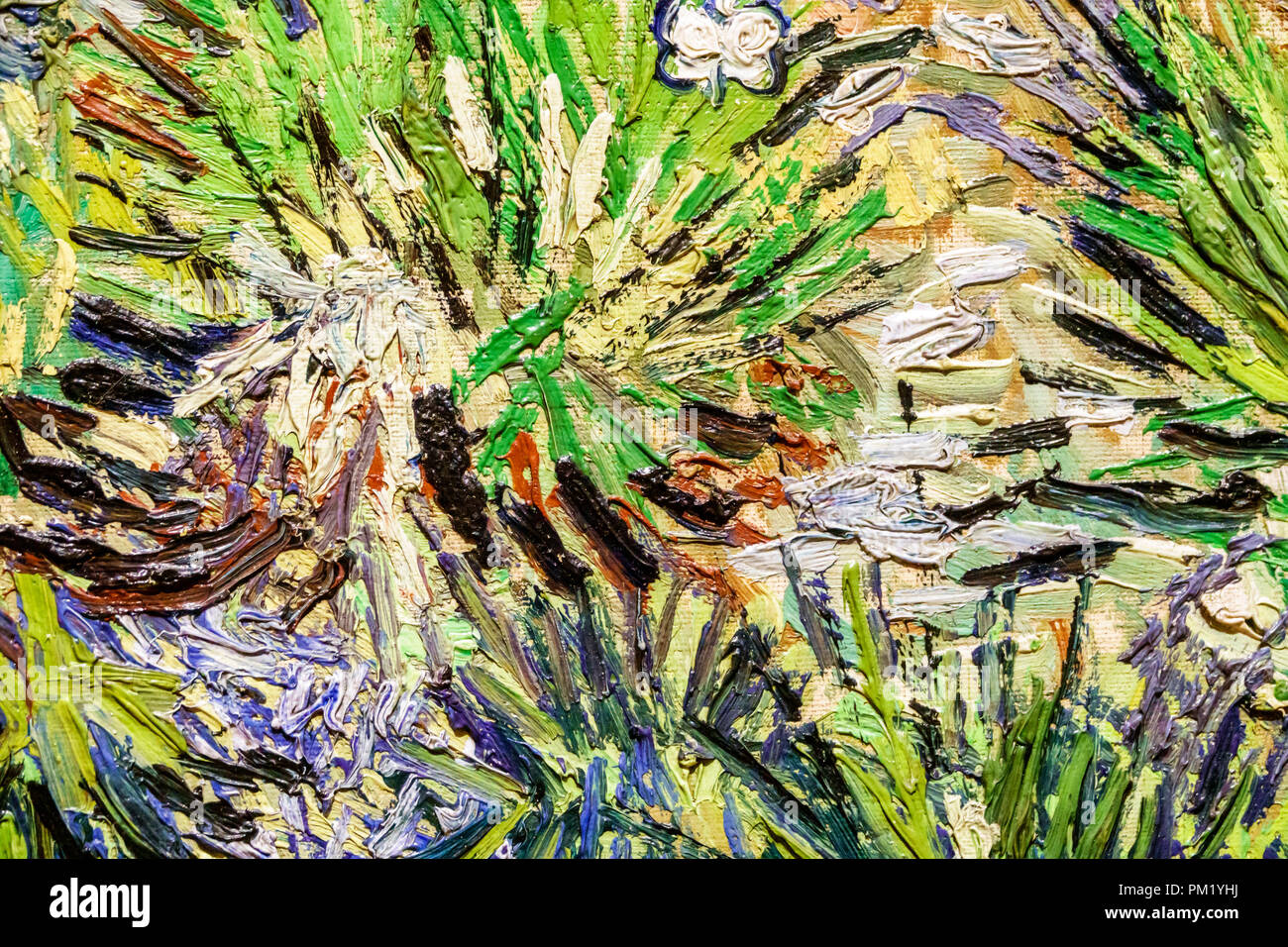 London England,UK,Trafalgar Square,The NationalGallery,art museum,inside interior,Vincent van Gogh Long Grass with Butterflies,close-up detail,impasto Stock Photo