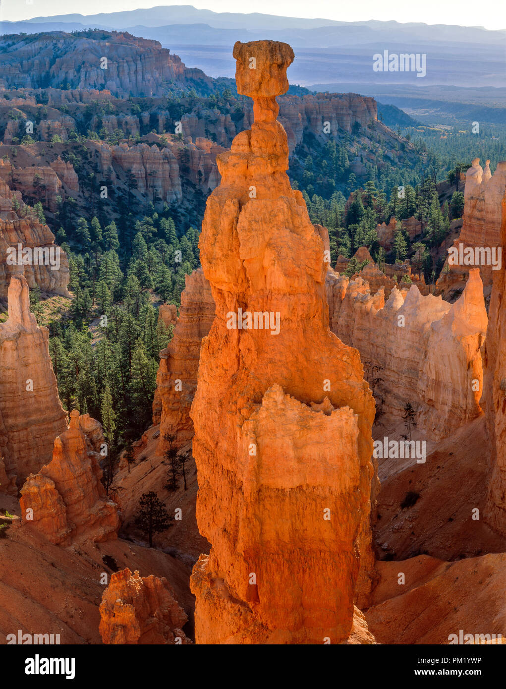 Thor's Hammer, Bryce Canyon National Park, Utah Stock Photo