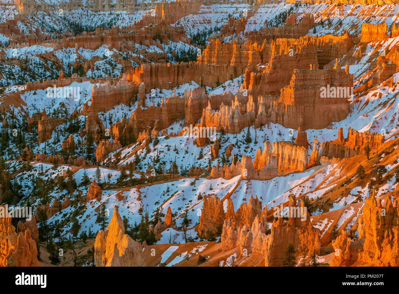 Sunrise, Queen's Garden, Bryce Canyon National Park, Utah Stock Photo