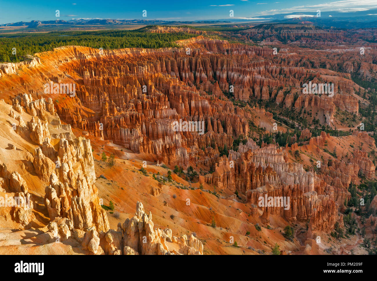 Sunrise, Amphitheater, Bryce Canyon National Park, Utah Stock Photo