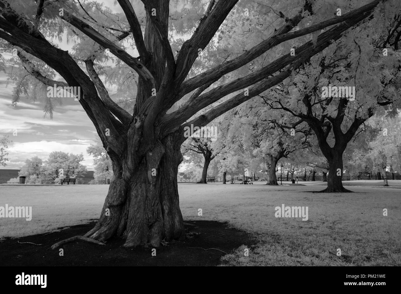 Ir scene hi-res stock photography and images - Alamy