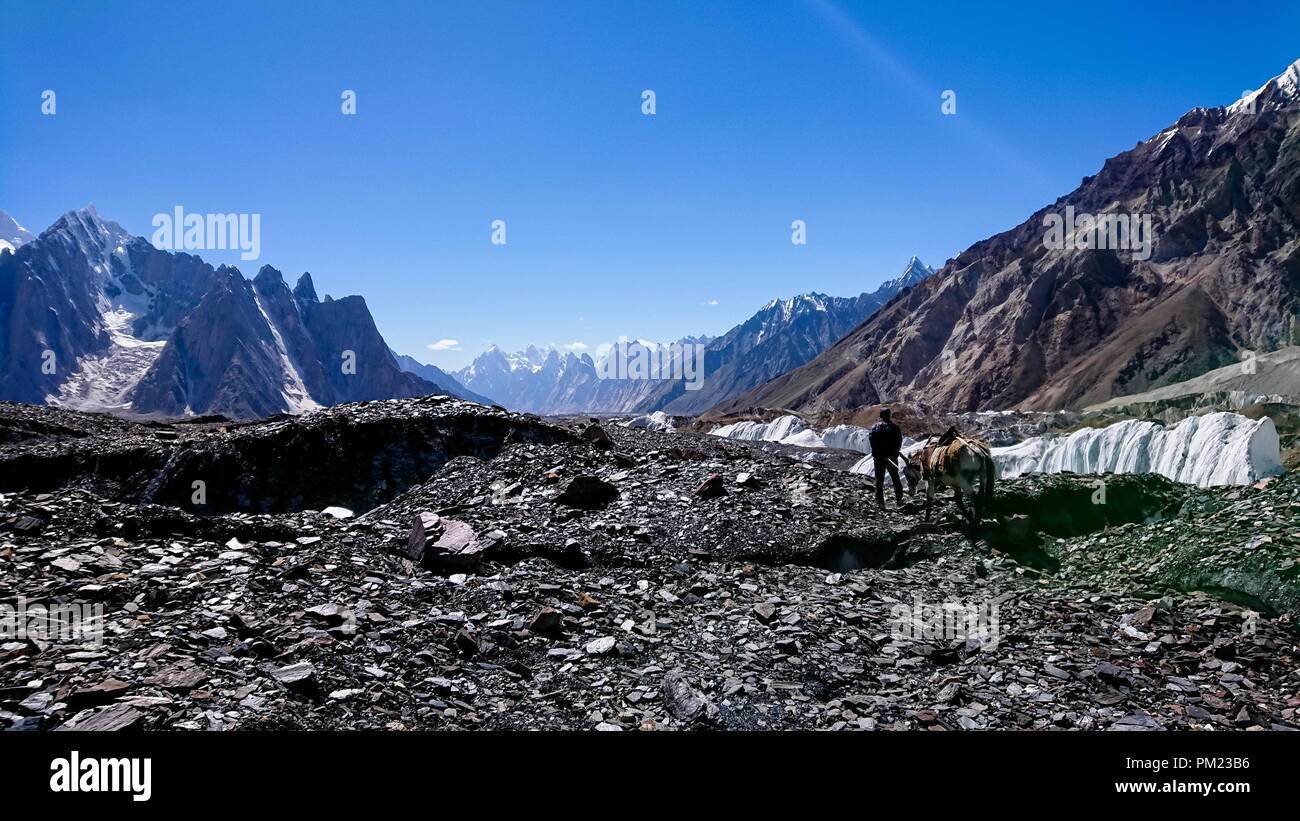 K2 and Broad Peak from Concordia in the Karakorum Mountains Pakistan Stock Photo