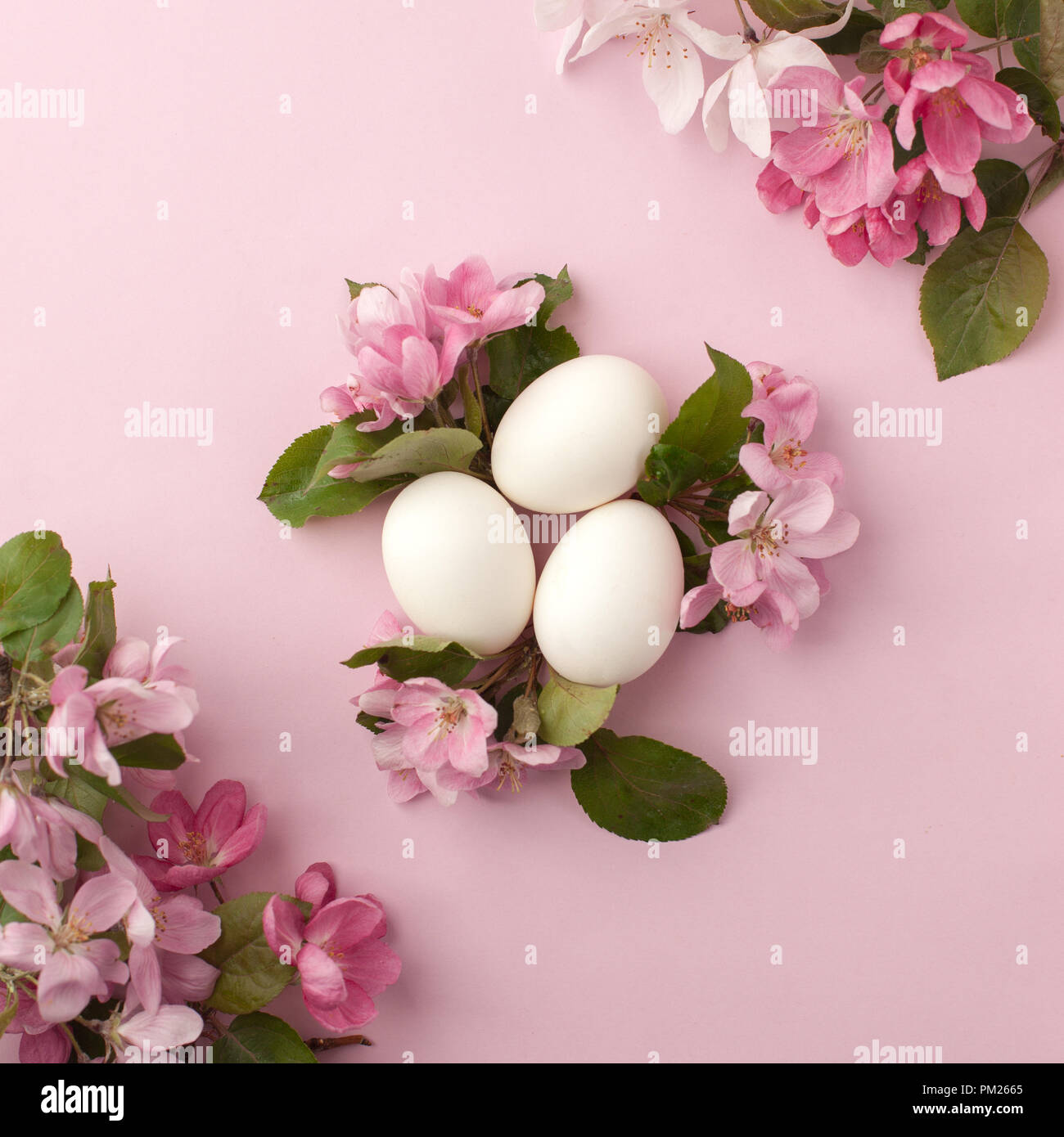 Easter eggs and pink flowers on white background. Easter nest. Flat lay ...