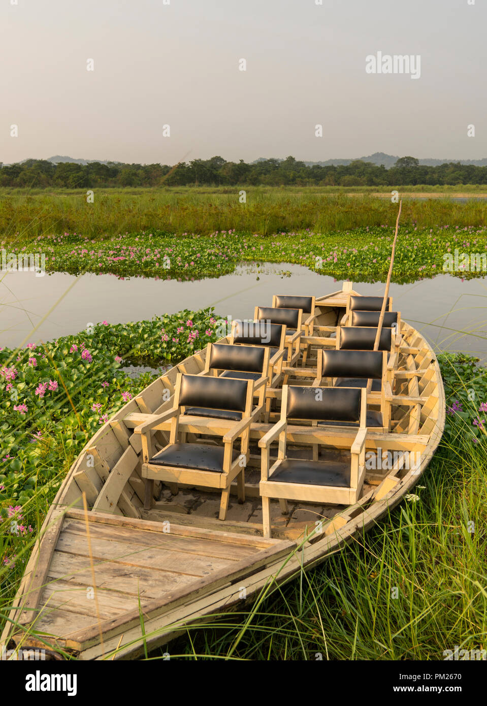 tourist boat with chairs on the jungle river. Jungle and river safari for tourists in Asia Stock Photo
