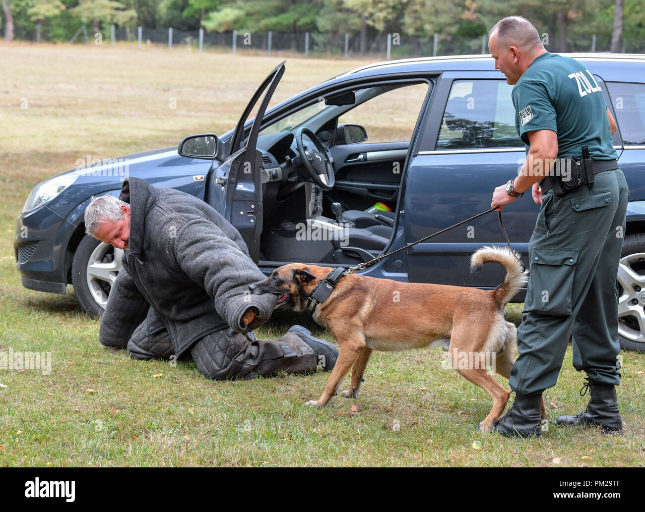 How Do You A Drug Dog Handler
