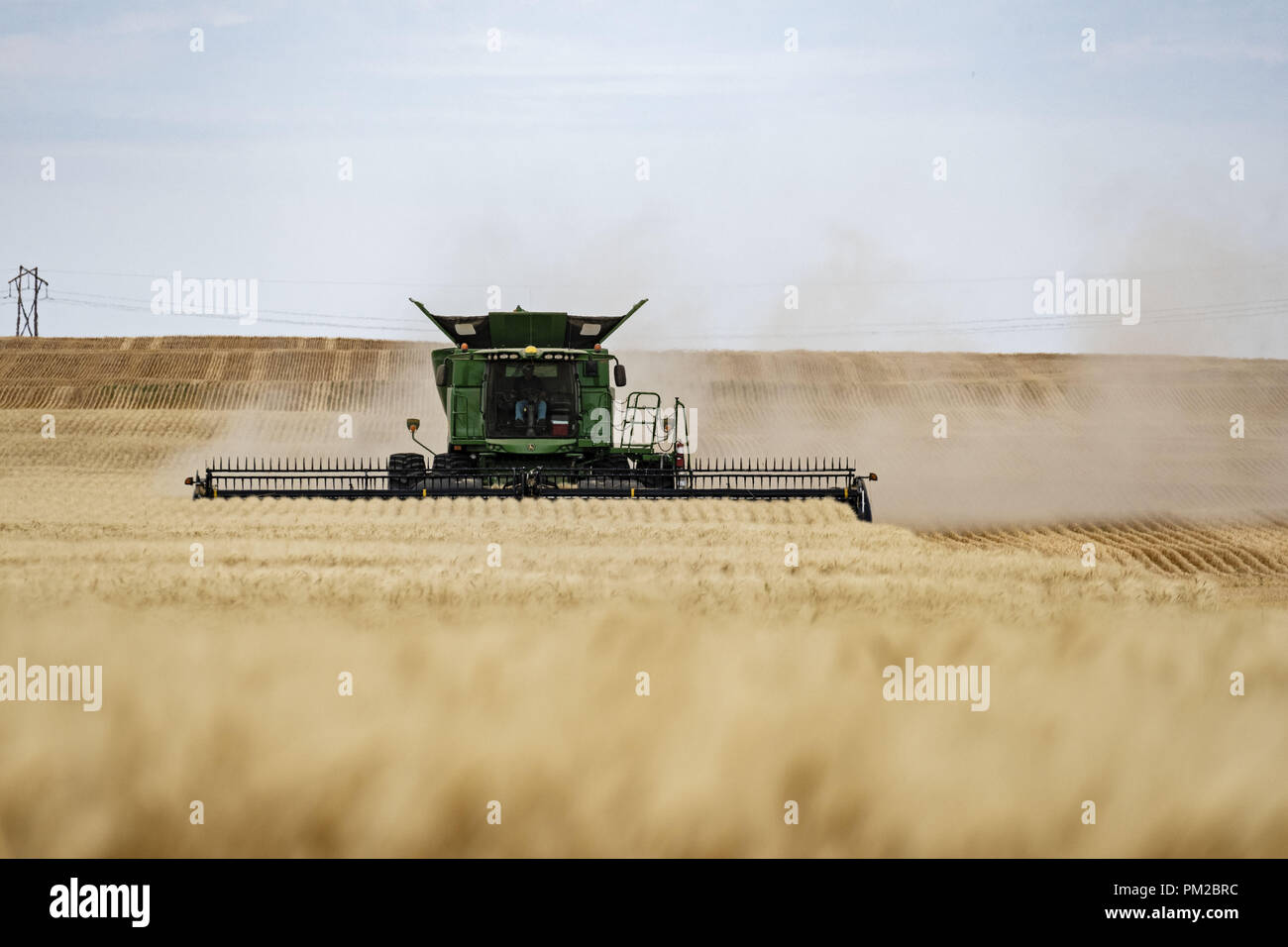 Limerick, Saskatchewan, Canada. 9th Sep, 2018. A field of wheat being harvested by a farmer using a John Deere combine. Credit: Bayne Stanley/ZUMA Wire/Alamy Live News Stock Photo