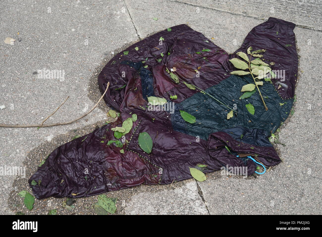 A jacket abandoned on the pavement, covered with leaves and debris, after Typhoon Mangkhut hit Hong Kong in 2018. The image reflects the chaotic aftermath of the powerful tropical cyclone, with personal belongings scattered and damaged in the wake of the storm. It showcases the strong winds and severe weather conditions that displaced items and left a trail of destruction throughout the city. Stock Photo