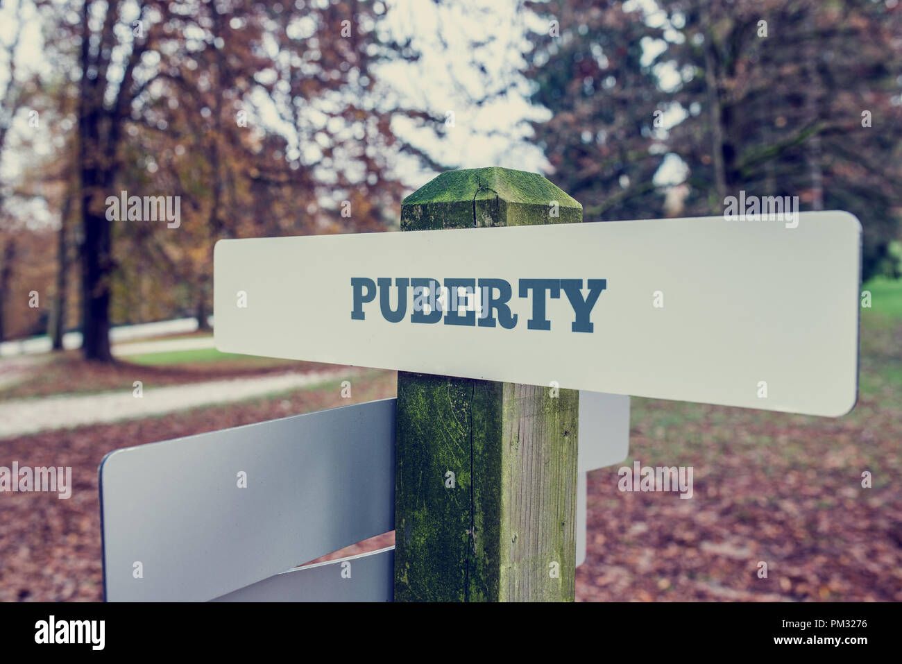 Puberty signboard on a wooden post  outdoors against greenery in a faded retro image. Stock Photo