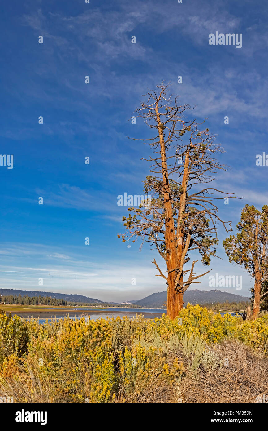 Lake sunrise at Big Bear Lake in the California mountains Stock Photo Alamy