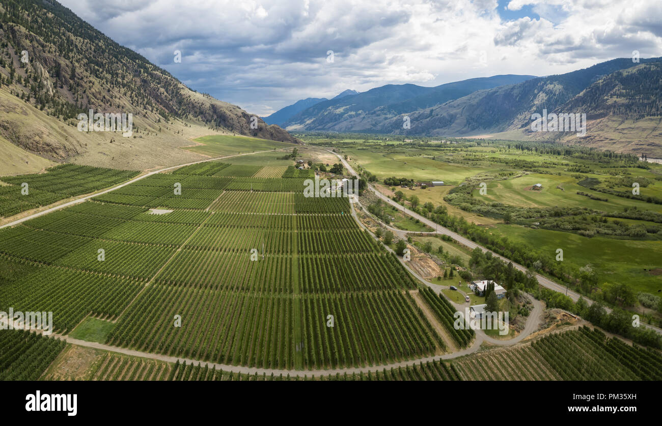 Aerial panoramic view of the farm fields during a cloudy summer day