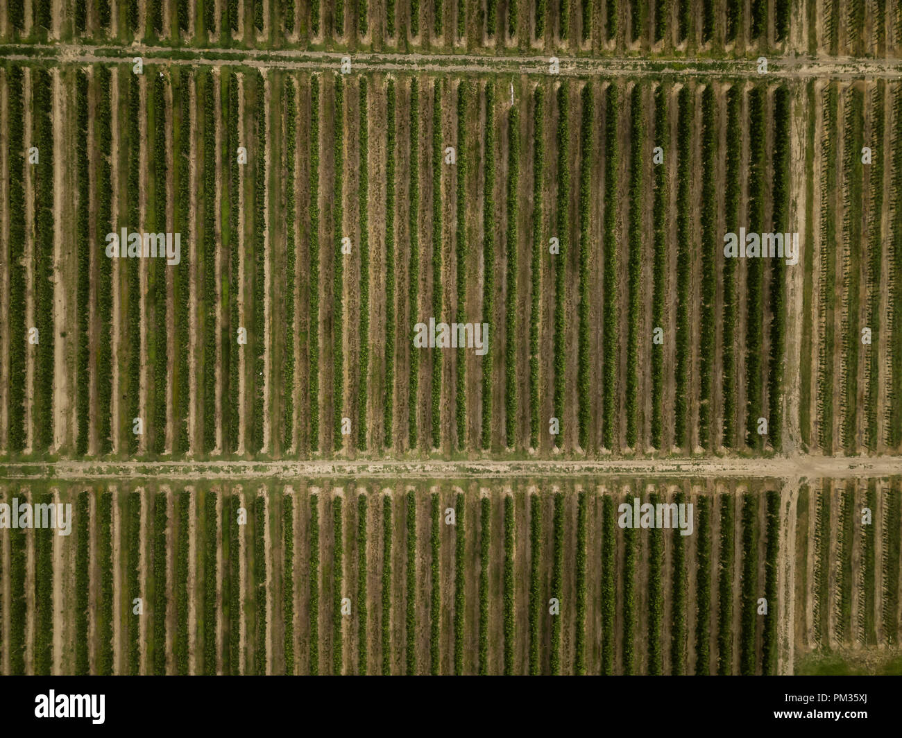 Aerial panoramic view of the farm fields during a cloudy summer day