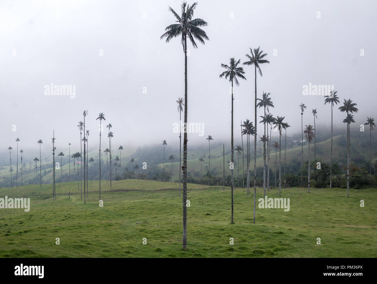 Colombia rainy season hires stock photography and images Alamy