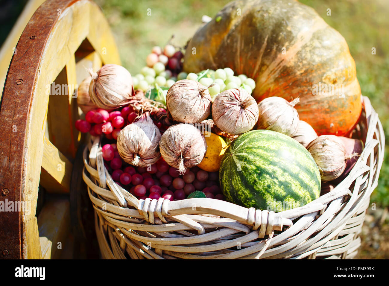 Different vegetables and fruits in a big basket. Autumn harvest. Happy