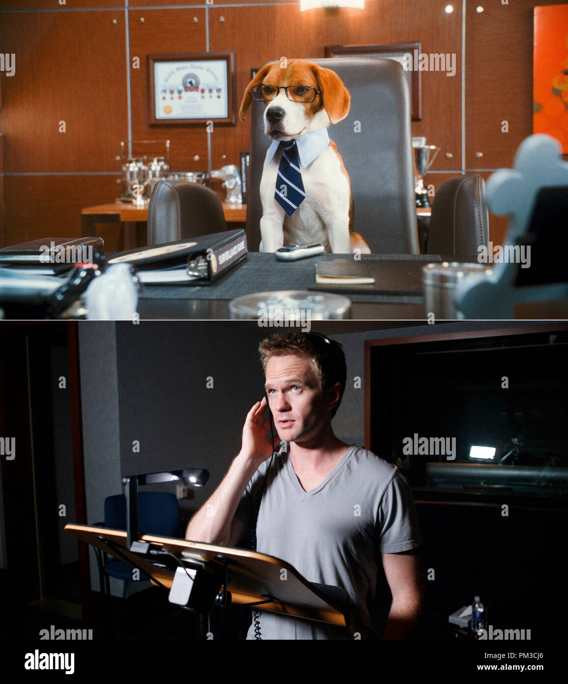 Lou Voiced By Neil Patrick Harris In Warner Bros Pictures And Village Roadshow Pictures Comedy Cats Dogs The Revenge Of Kitty Galore A Warner Bros Pictures Release Stock Photo Alamy