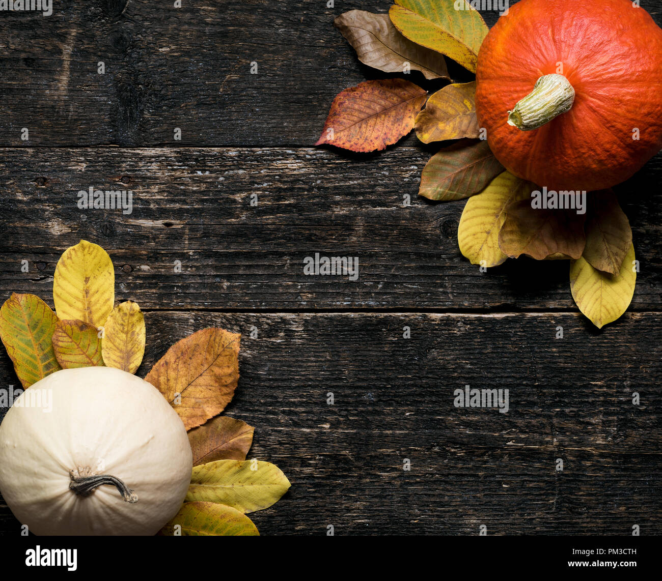 Autumn Harvest and Holiday still life. Happy Thanksgiving Background. Two pumpkins and fallen leaves on dark wooden background. Autumn vegetables and  Stock Photo