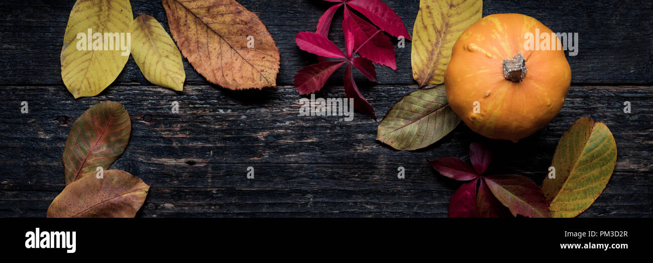 Autumn Harvest and Holiday still life. Happy Thanksgiving Banner. Pumpkin and fallen leaves on dark wooden background. Autumn vegetables and seasonal  Stock Photo
