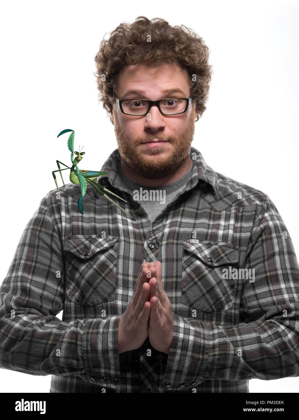 Kung Fu Panda" Seth Rogen, Master Mantis © 2008 Dream Works Stock Photo -  Alamy