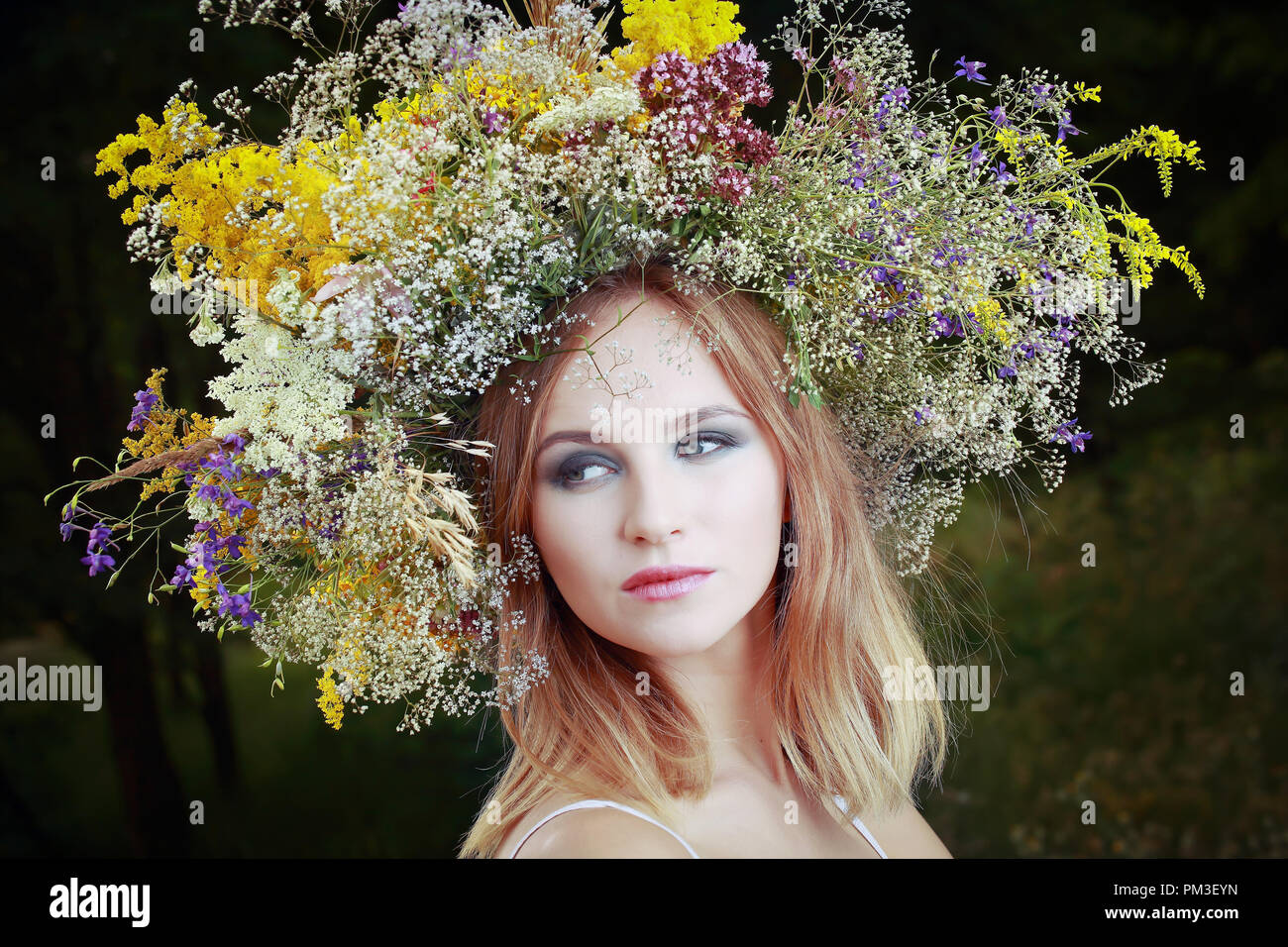 A girl in a wreath of field flowers Stock Photo Alamy