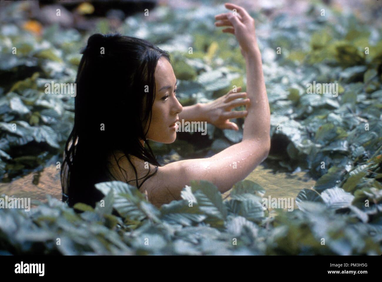 Film Still from 'House of Flying Daggers' Ziyi Zhang © 2004 Sony Pictures Photo Credit: Bai Xiao Yan  File Reference # 30735872THA  For Editorial Use Only -  All Rights Reserved Stock Photo