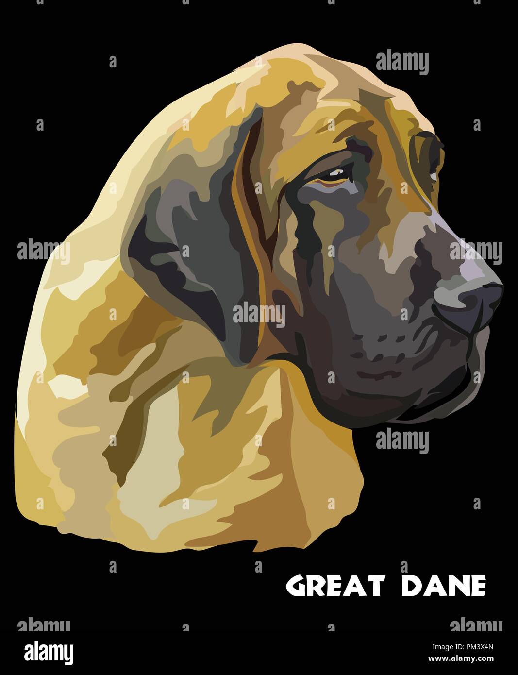 Colored portrait of Great Dane isolated vector illustration on black background Stock Vector