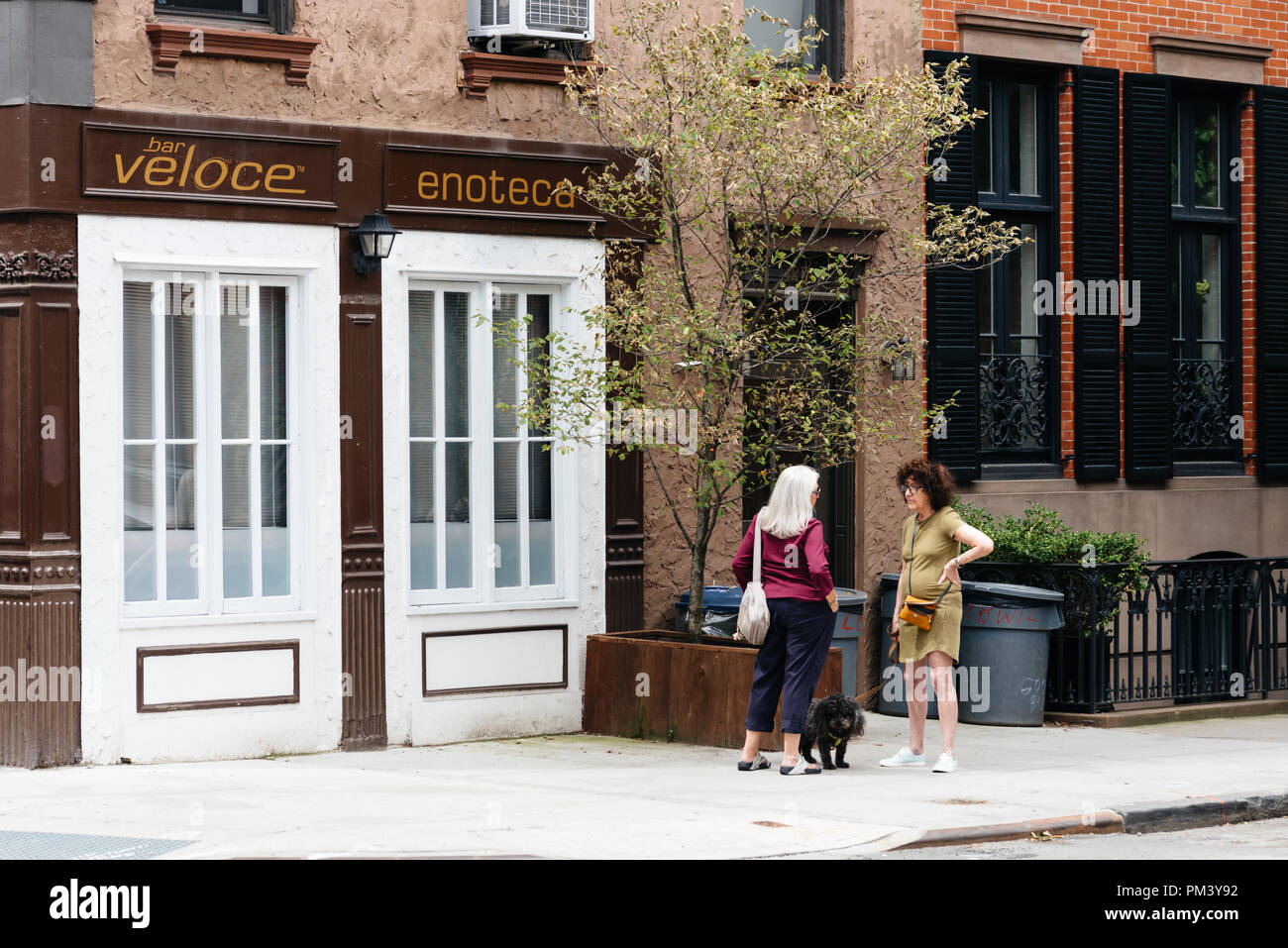 New York City, USA - June 22, 2018:  Two elderly ladies with dog standing chatting together in the street in Greenwich Village. Stock Photo