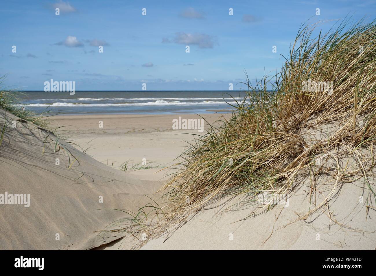 sand dune with grass at the noth sea Stock Photo