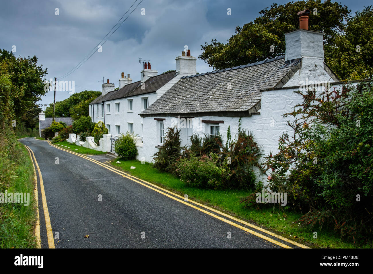 White-washed cottages on the road to Cwm-yr-Eglwys, near Dinas Cross, Fishguard, Pemrbrokeshire Stock Photo